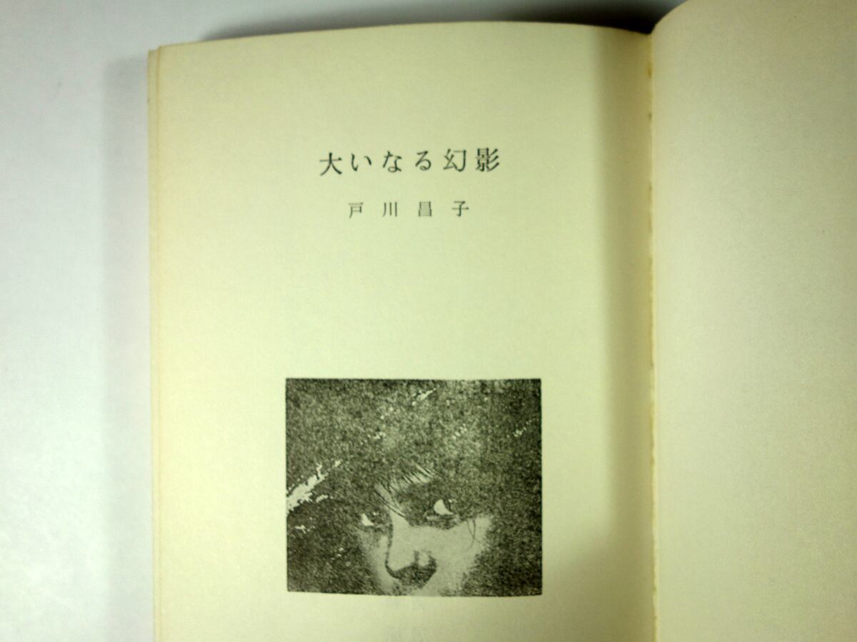 大いなる幻影 戸川昌子 著 原弘 装幀 居島春生 カバー画 ロマンブックス Bookstore ナルダ