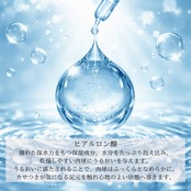 9/1より 肉球クリームプチギフトセット (1g×12p)無香料