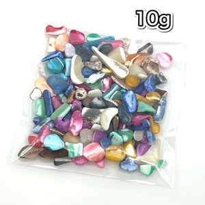 【10g】天然シェル（ミックスカラー）2~15mmx2~10mm/穴なし/貝/染色さざれ/レジン
