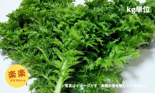 わさび菜（大容量お得サイズ・1㎏単位）