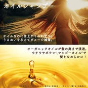 Diane(ダイアン) モイスト ダイアン 大容量 ダメージ 詰替え用 660ミリリットル (x 1)