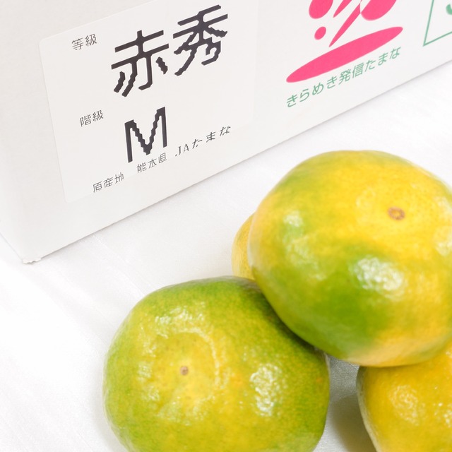 【熊本県産 極早生みかん】Mサイズ/1箱5㎏（約50個入り）　※包装・お熨斗無料
