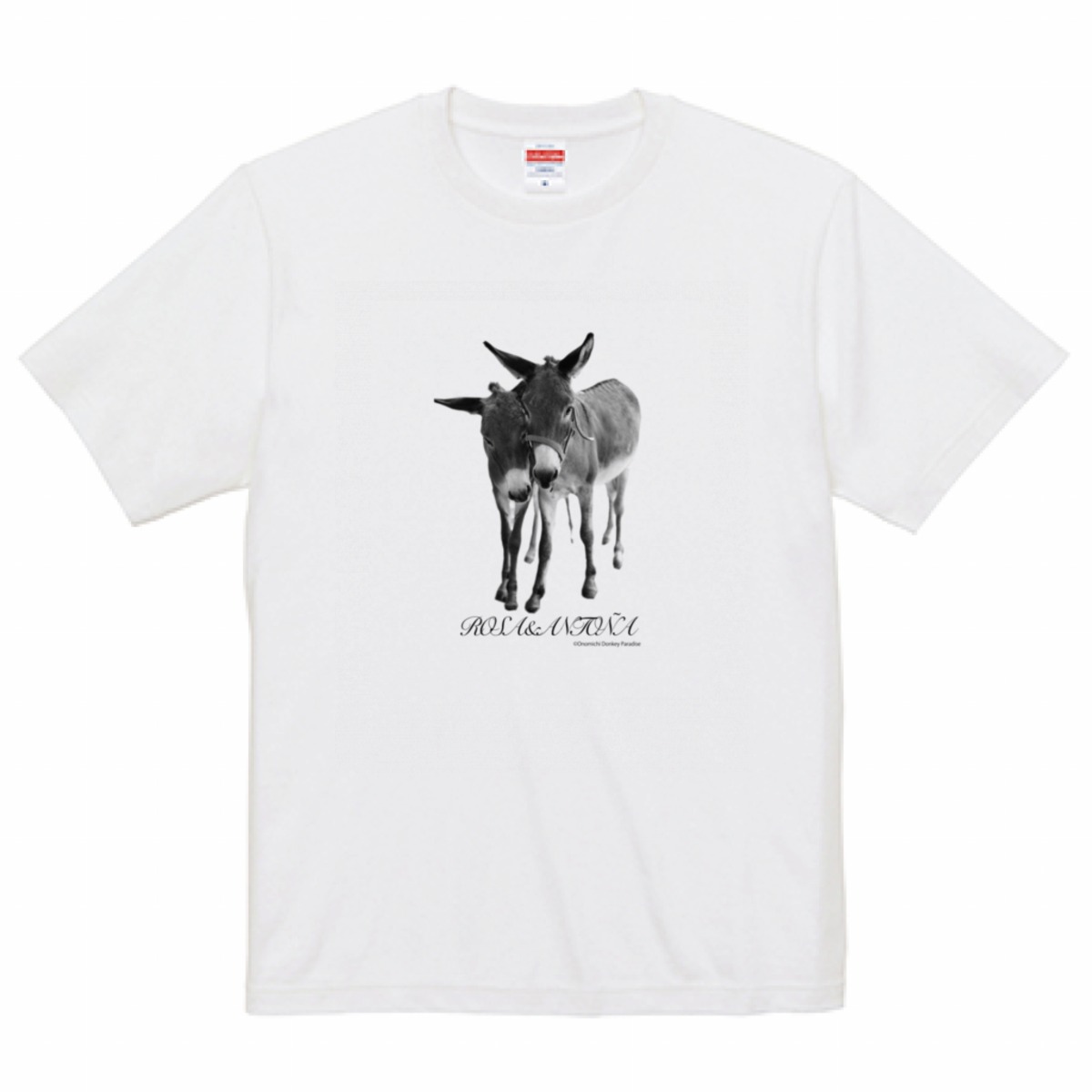 2a34755822d58c9e0dce3fa5f93fdd