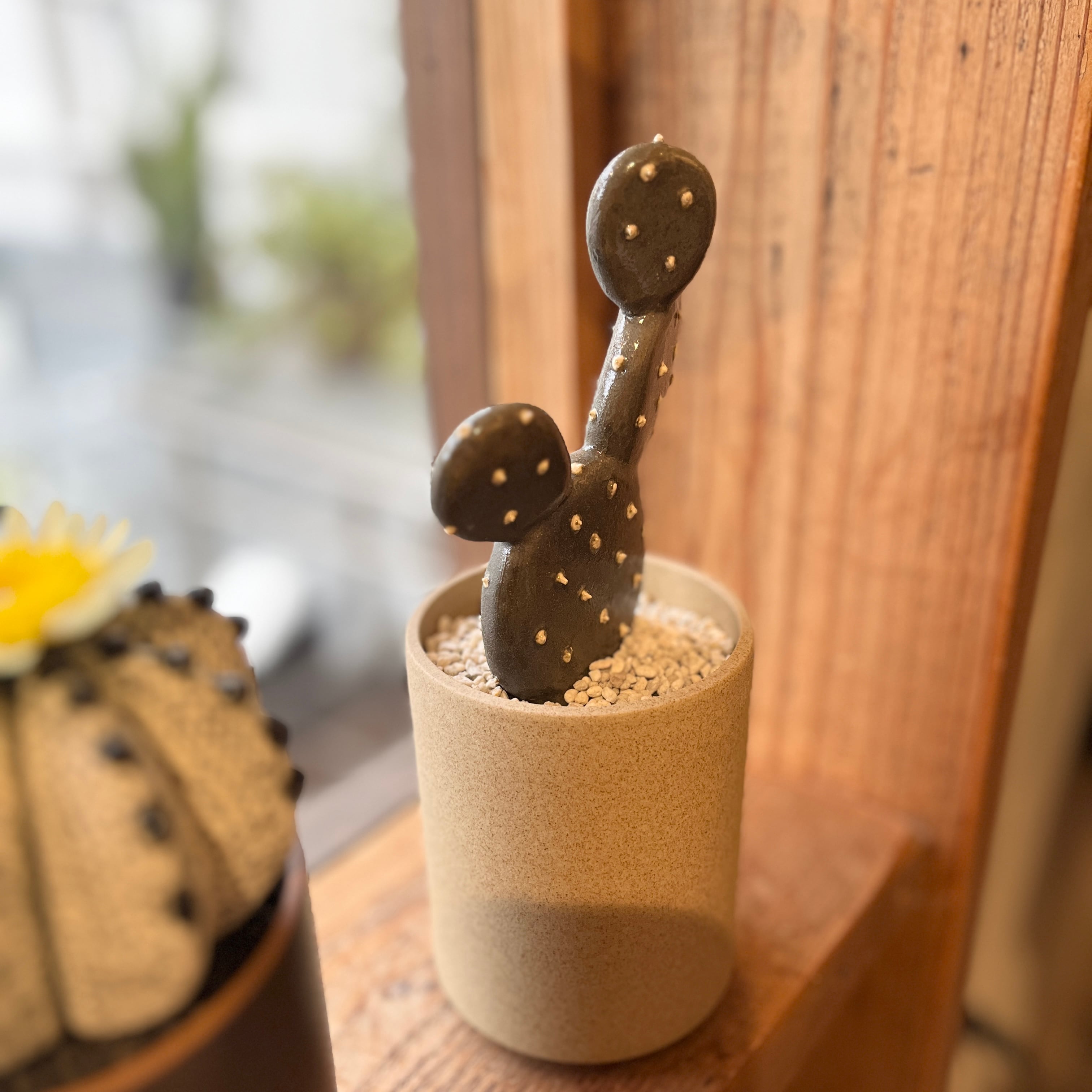 STUDIO.ZOK 陶植 ウチワサボテン 小 | ihana design(イハナデザイン）