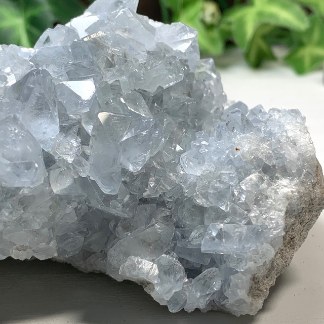 2.空色セレスタイトに住み着いているフローライトハリネズミさん