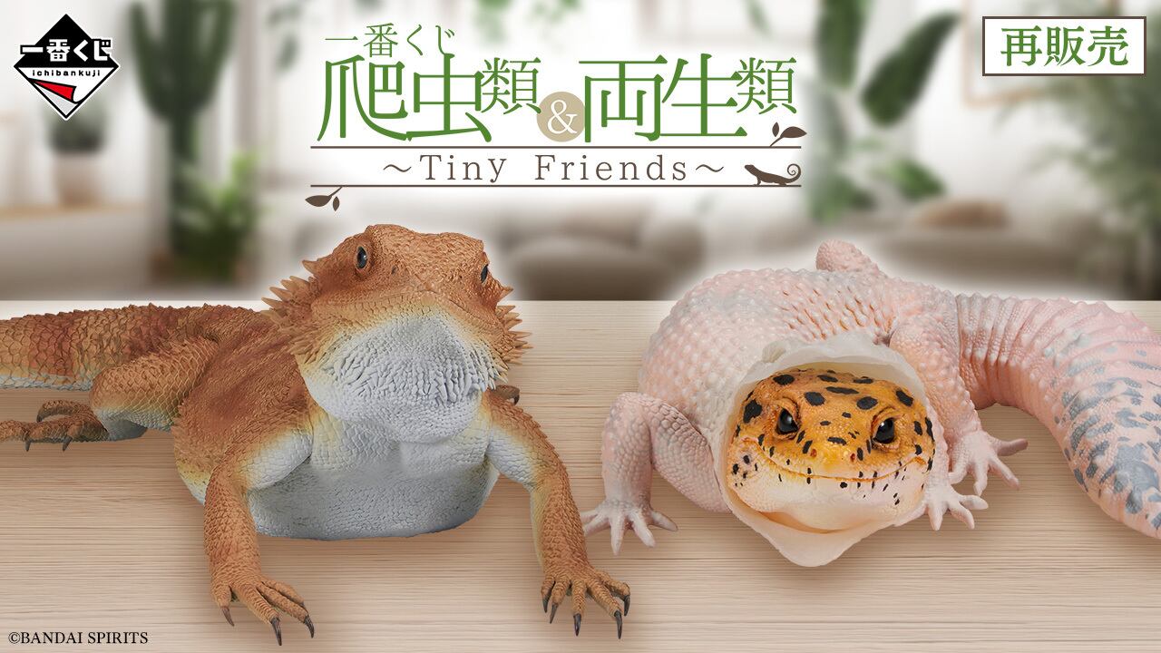 ロット] 一番くじ 爬虫類＆両生類～Tiny Friends～(再販) 2025年04月11 