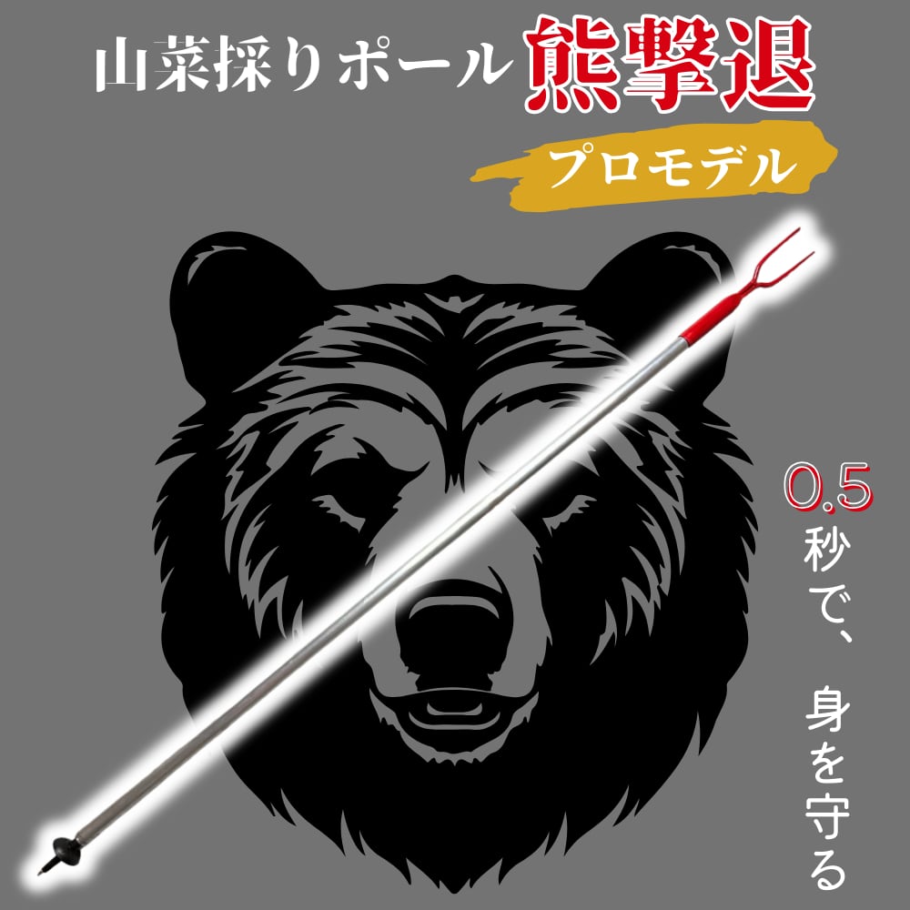 ヒグマ後ろ足、オス、幅14cm、長さ32cm冷凍品（クール便発送