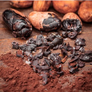 マヤカカオ（Mayacacao) 100g