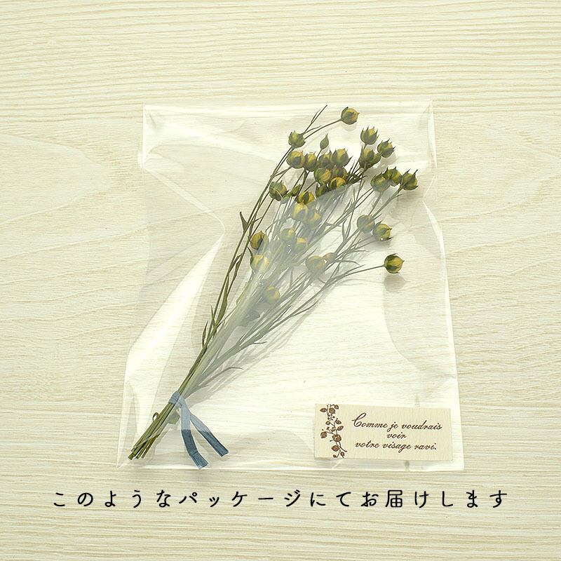 フラックス プリザーブド 自然素材こわけ専門店 あじさいや