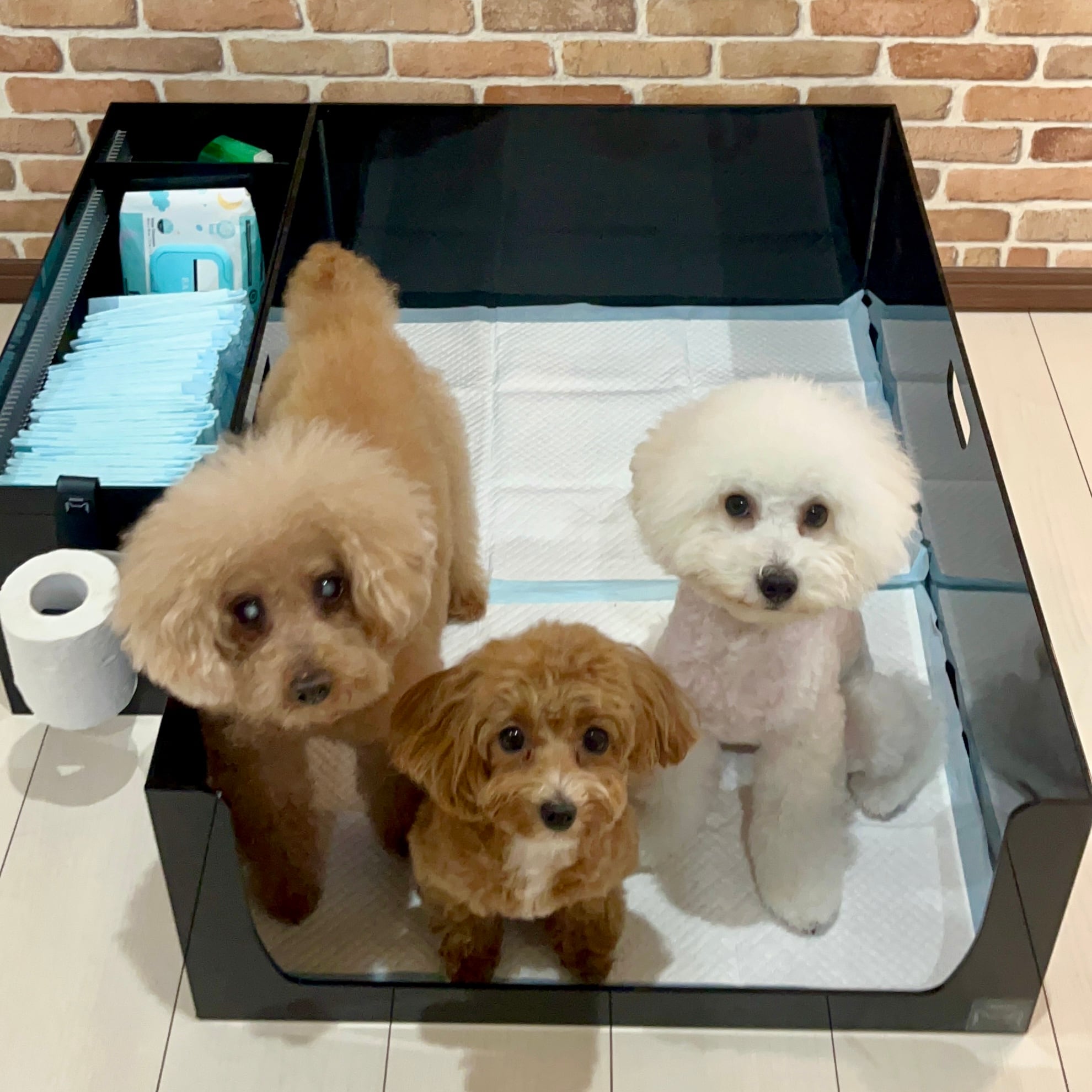 2a434af895b6c78d2042f68df8aef4