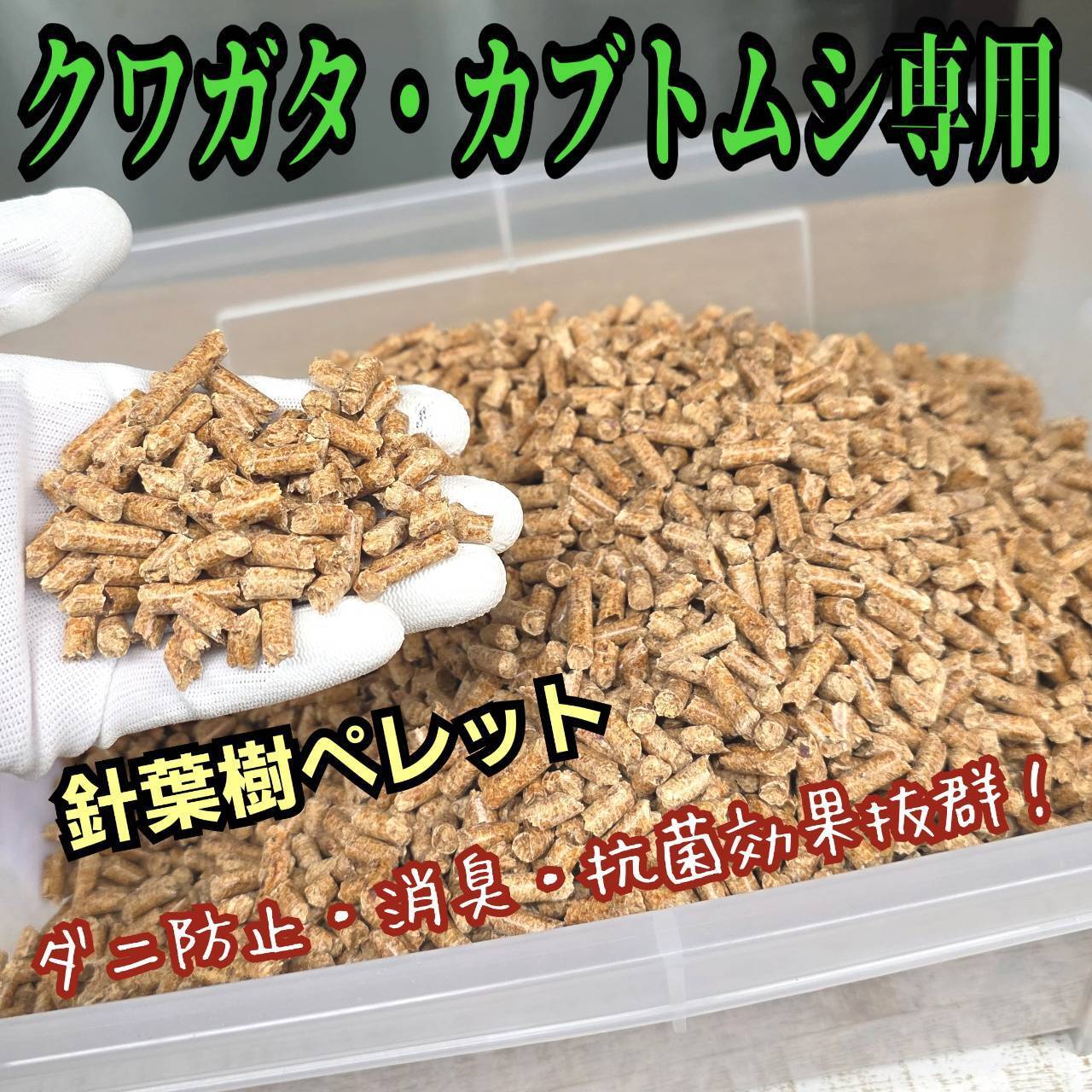 ニジイロクワガタにお薦め！極上！黒アワビタケ菌糸瓶【3本