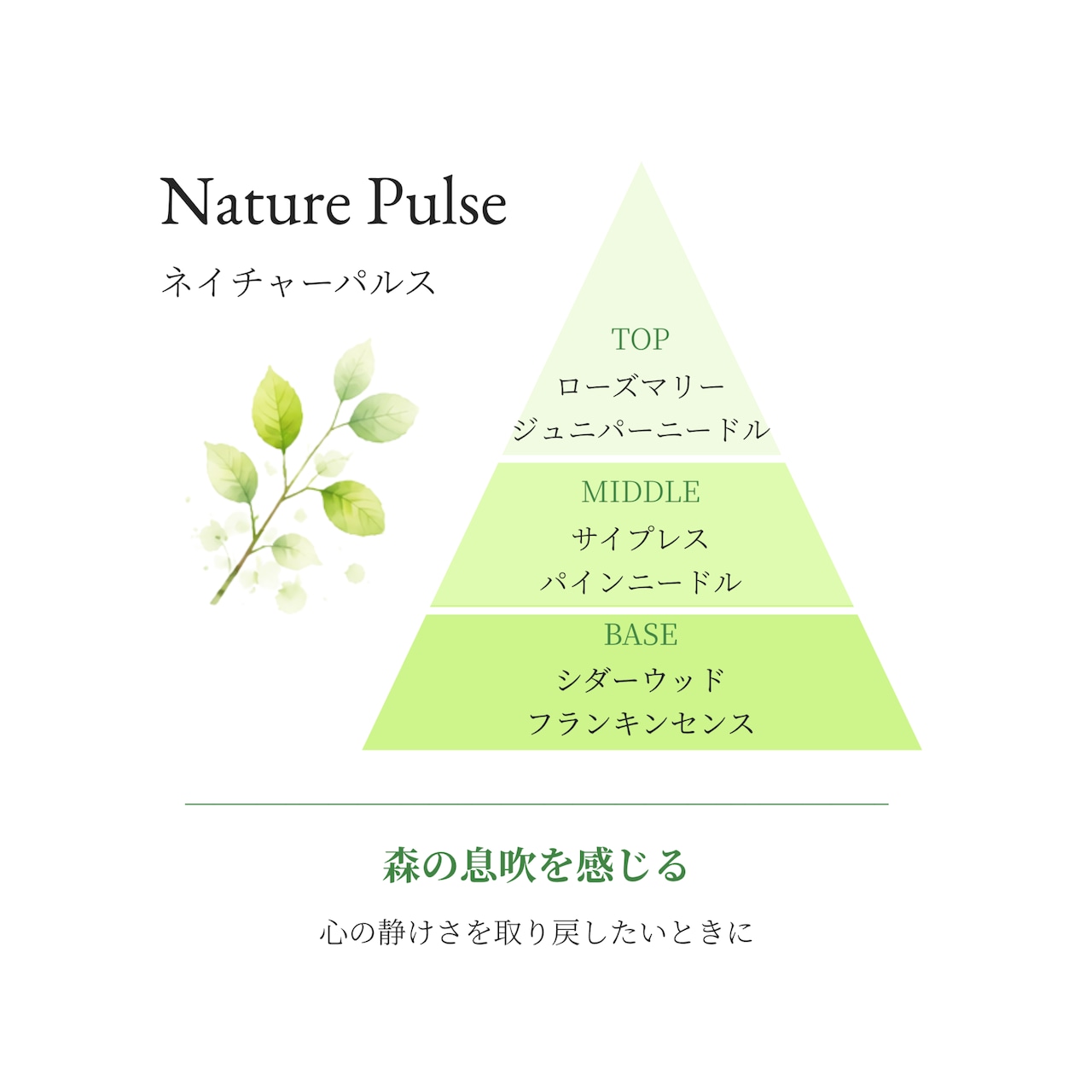 Nature Pulse｜フレグランスソルト（バスソルト）