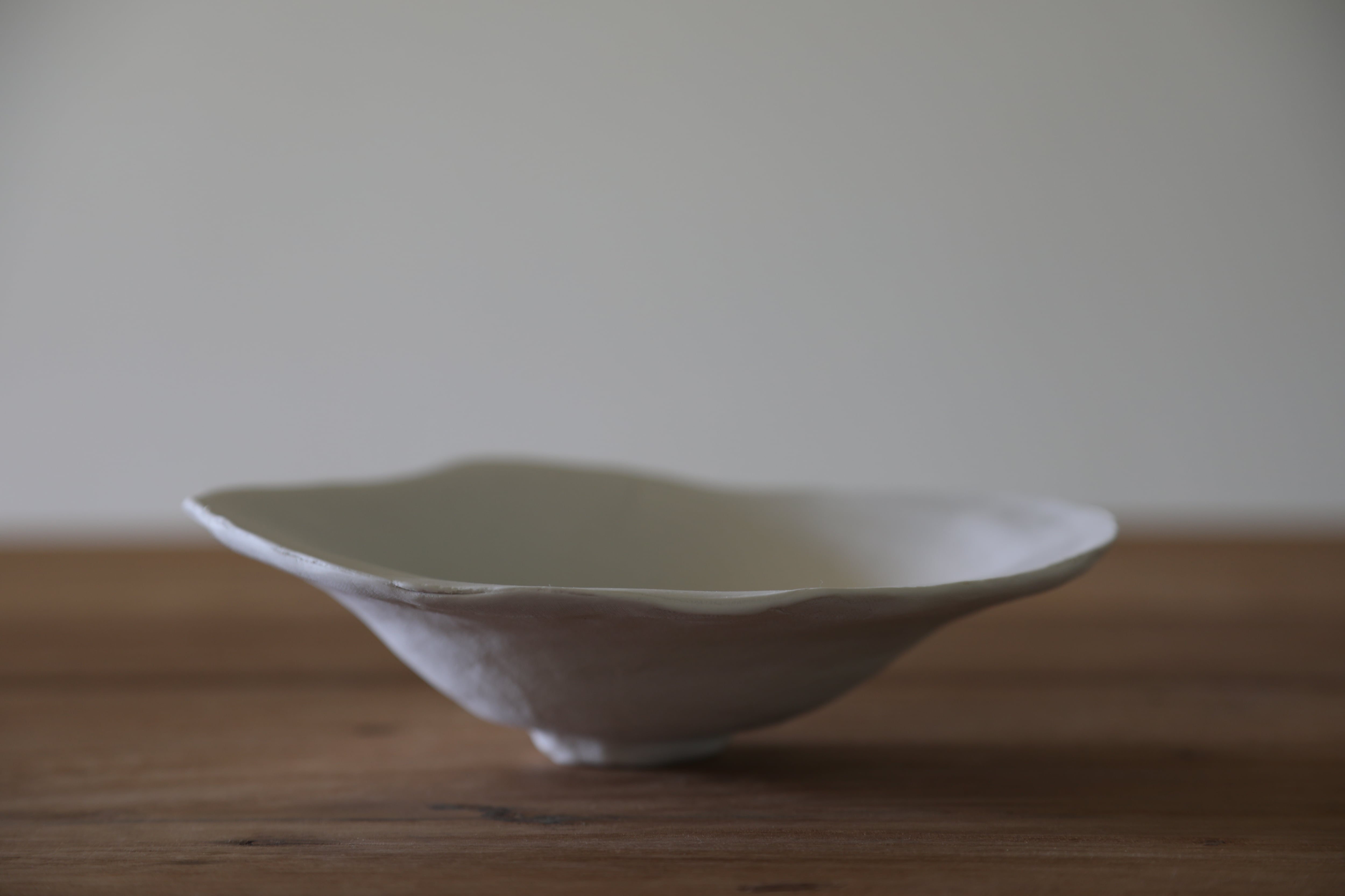 白椿 | ens 展示室