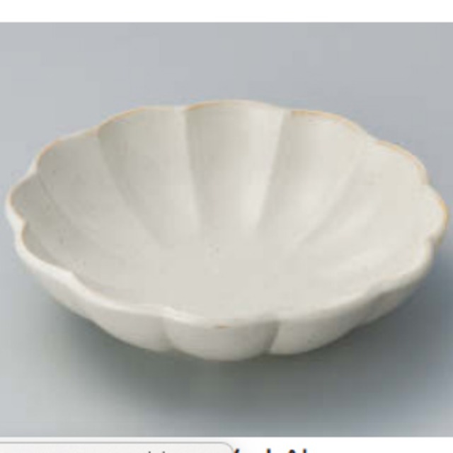 菊花白中鉢[724] 49-20-227向付