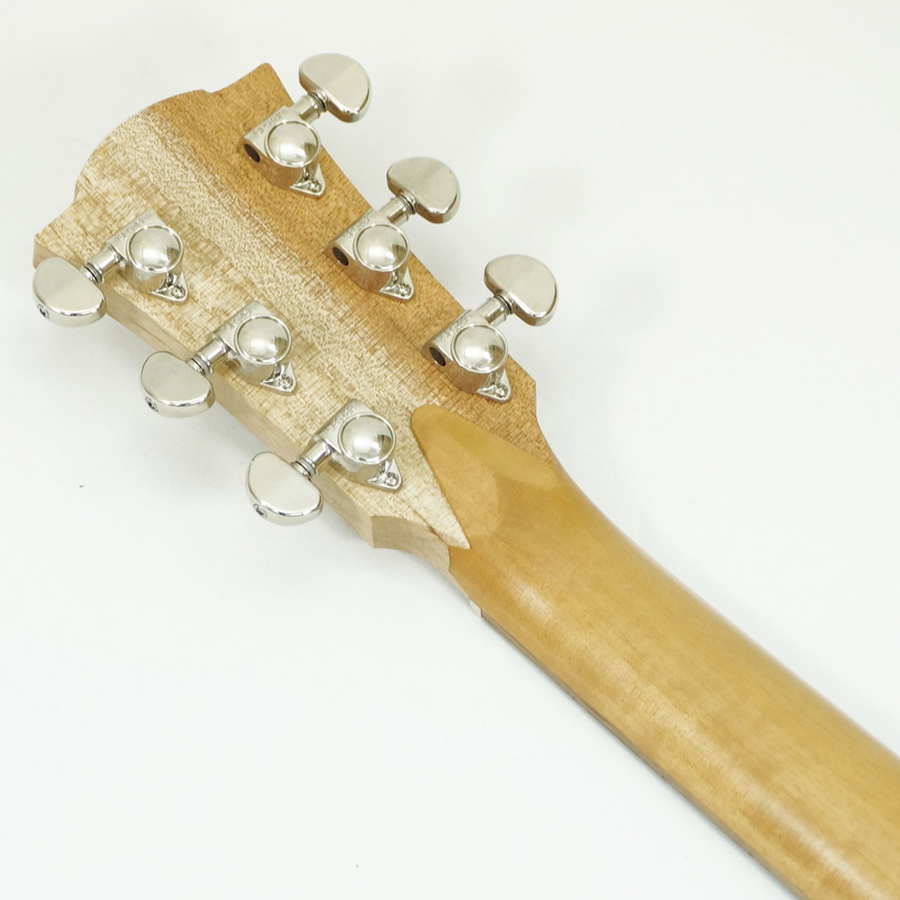 Cole Clark FL1E-BM (Bunya/Queensland Maple) [USED] 【値下げしました】