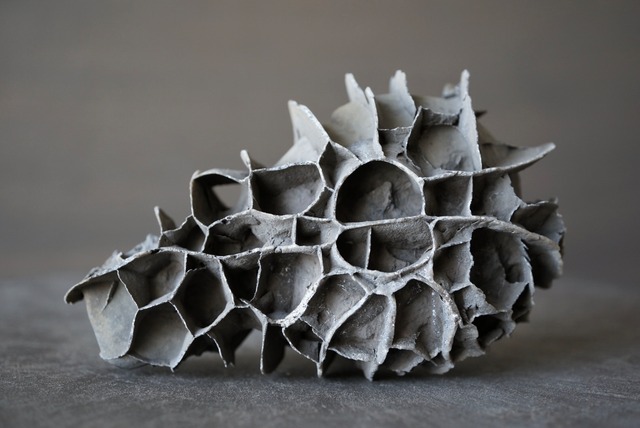 湖南省産亀甲石 1107