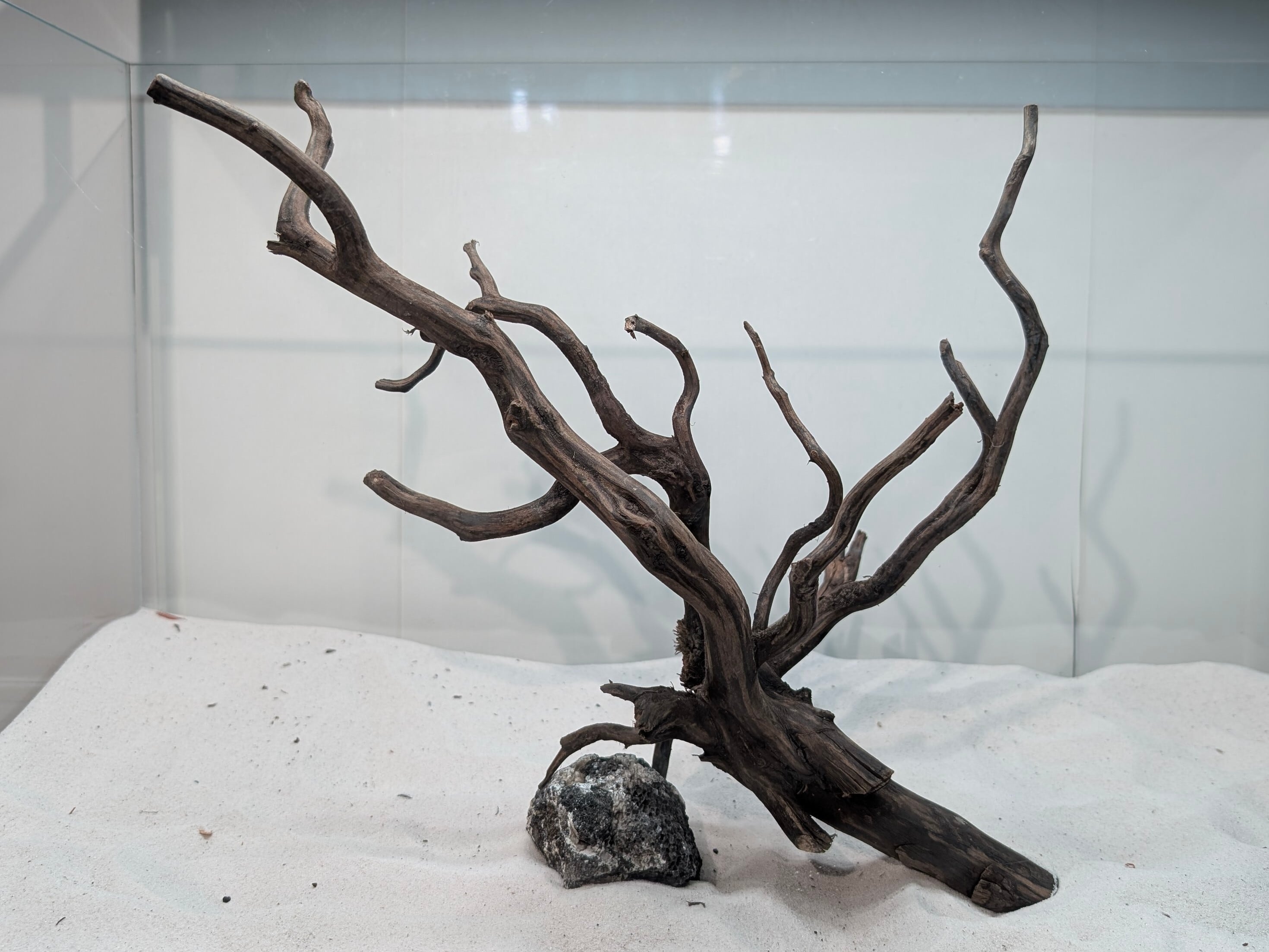 ペットの流木 水宗工房