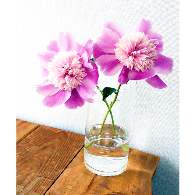 Basic　flower　Vase　ベーシックフラワーベース　C