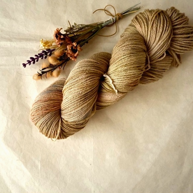 meriyasu sono DK mso1601 画像