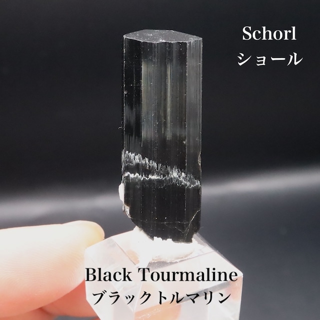 ショール/ブラックトルマリン 9g 電気石 T829 鉱物 天然石 原石