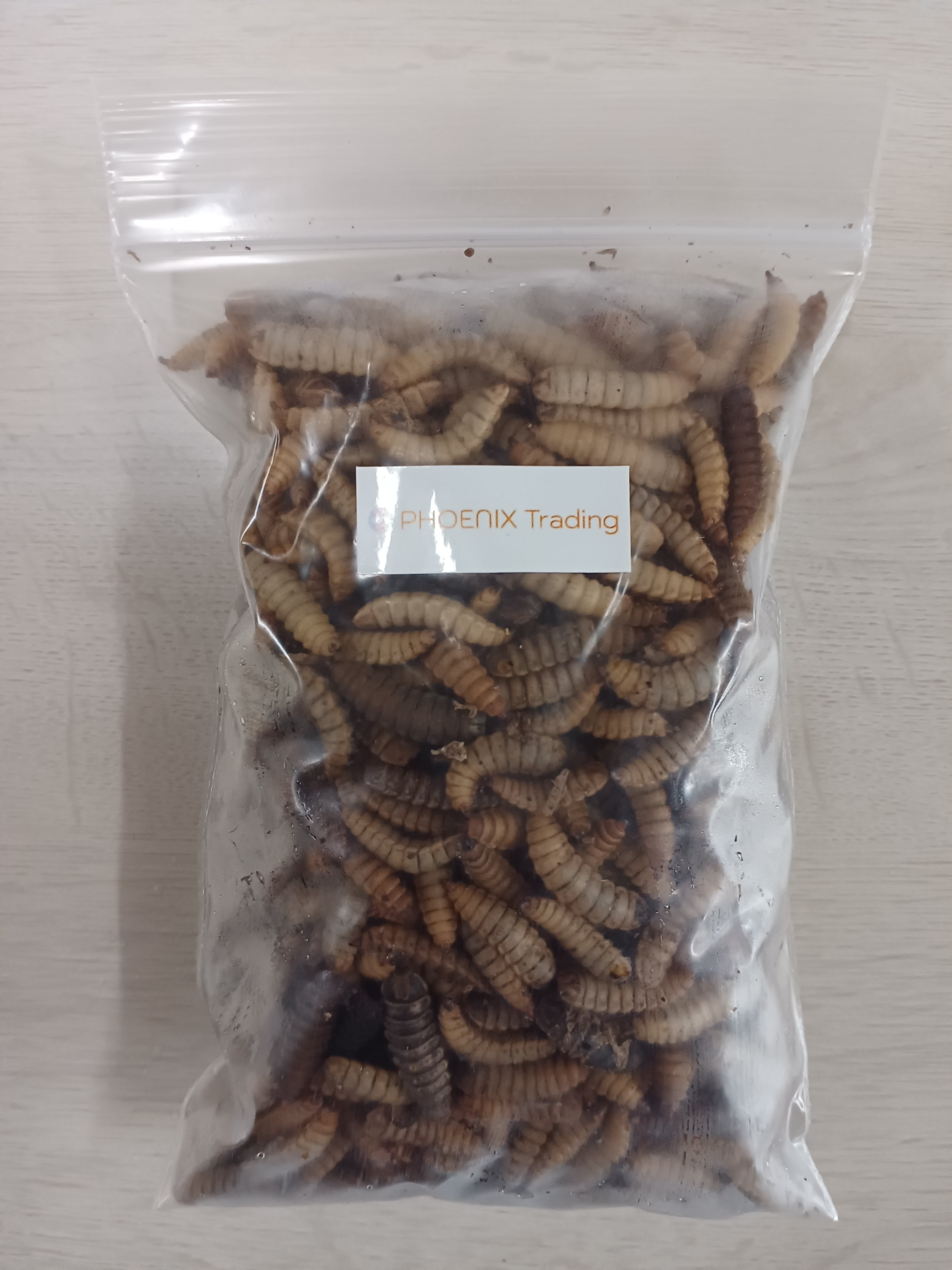 養殖　生き餌　アメリカミズアブ幼虫 100g ALL ITEM | フェニックス商事