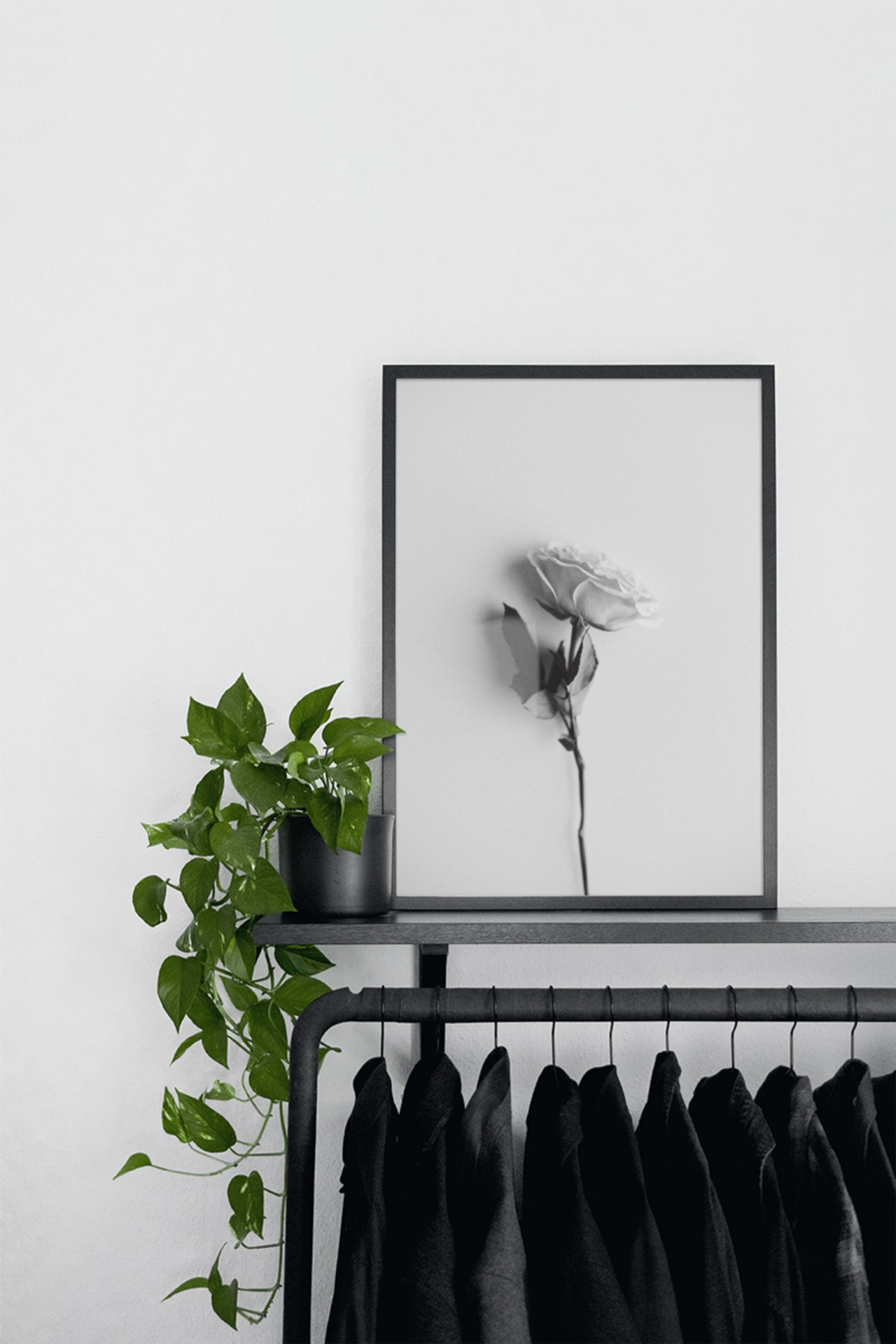 rose | AP161 | フォトポスター おしゃれ モダン エモい 写真 モノトーン モノクロ - 4