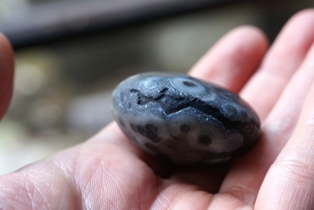 ゴビアゲート Gobi Desert Eye Agate 525