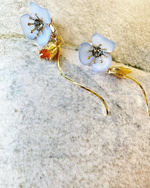 clear with tulip 【 blue 】
