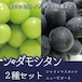 特選「ン・ダモシタン」２種セットA　２kg（3~4房）  4,500円（税込）