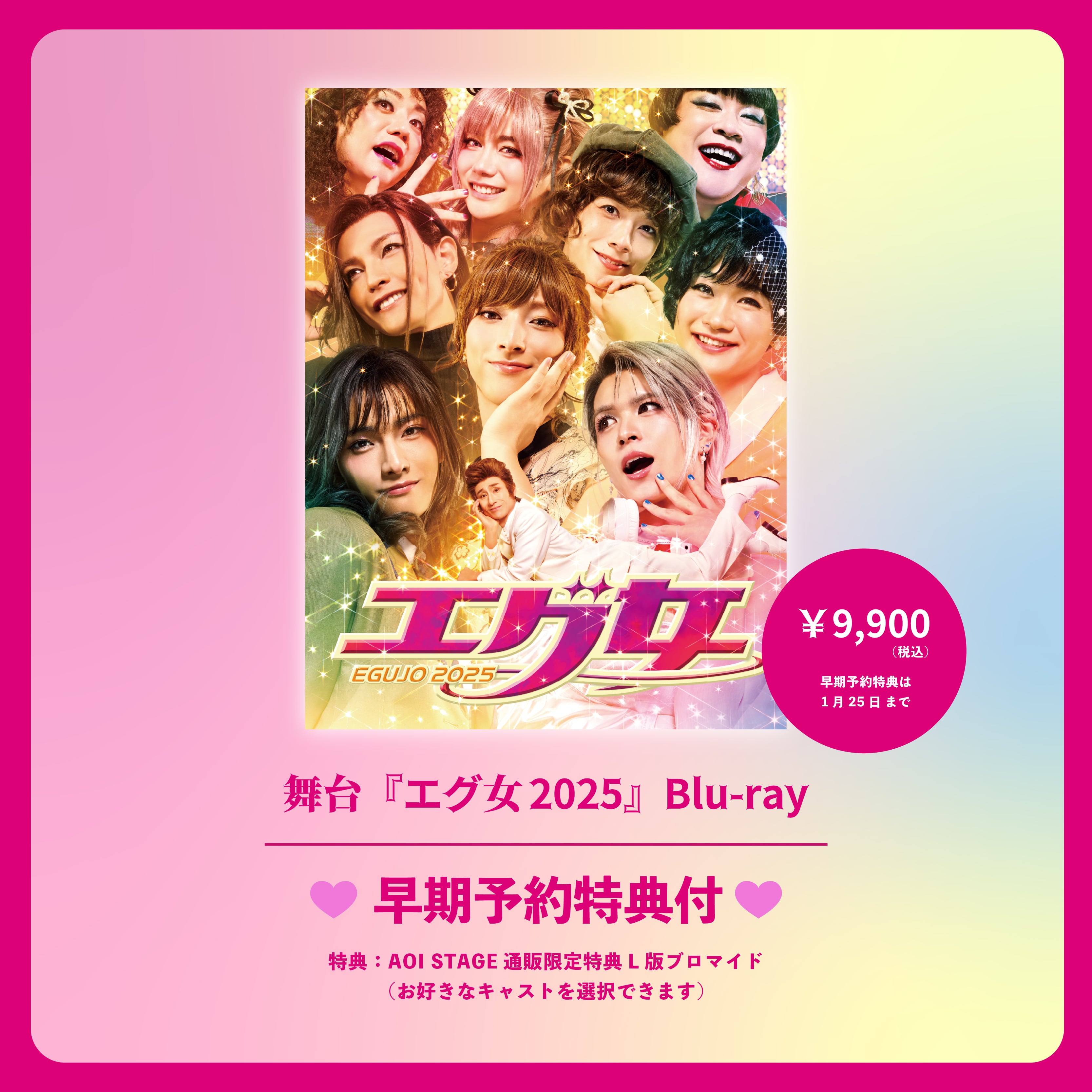 舞台「仔犬たちの午後」公演DVD | AOI STAGE ONLINE STORE
