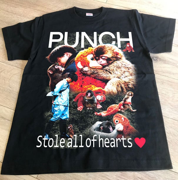 【2026年新作】☆RAPTEE★PUNCH（パンチ）君  市川市動植物園の心を打つ小さなヒーロー