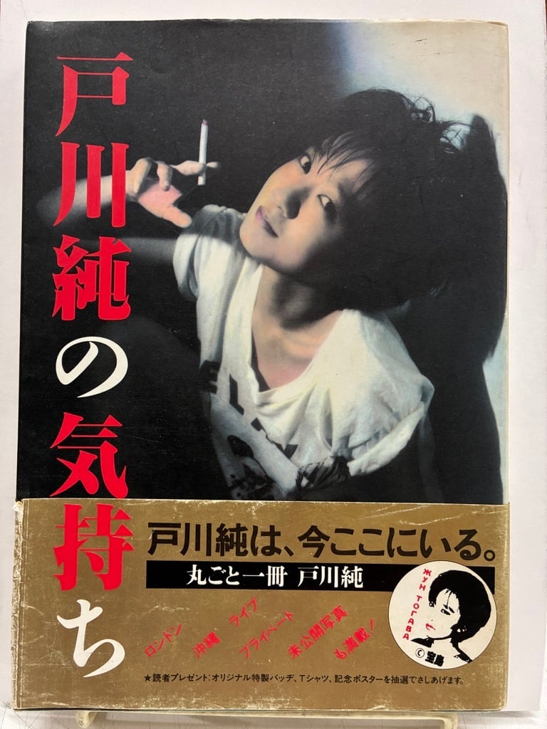 酒井駒子 4個セット トムズボックス謹製ピンバッジ セット | トムズ