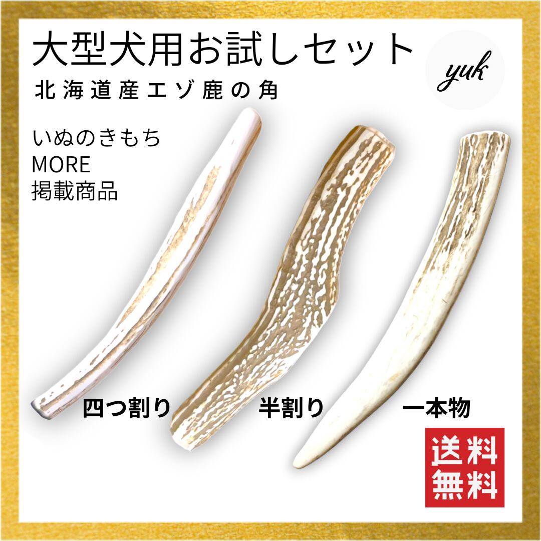 鹿の角　３本 鹿の角3本