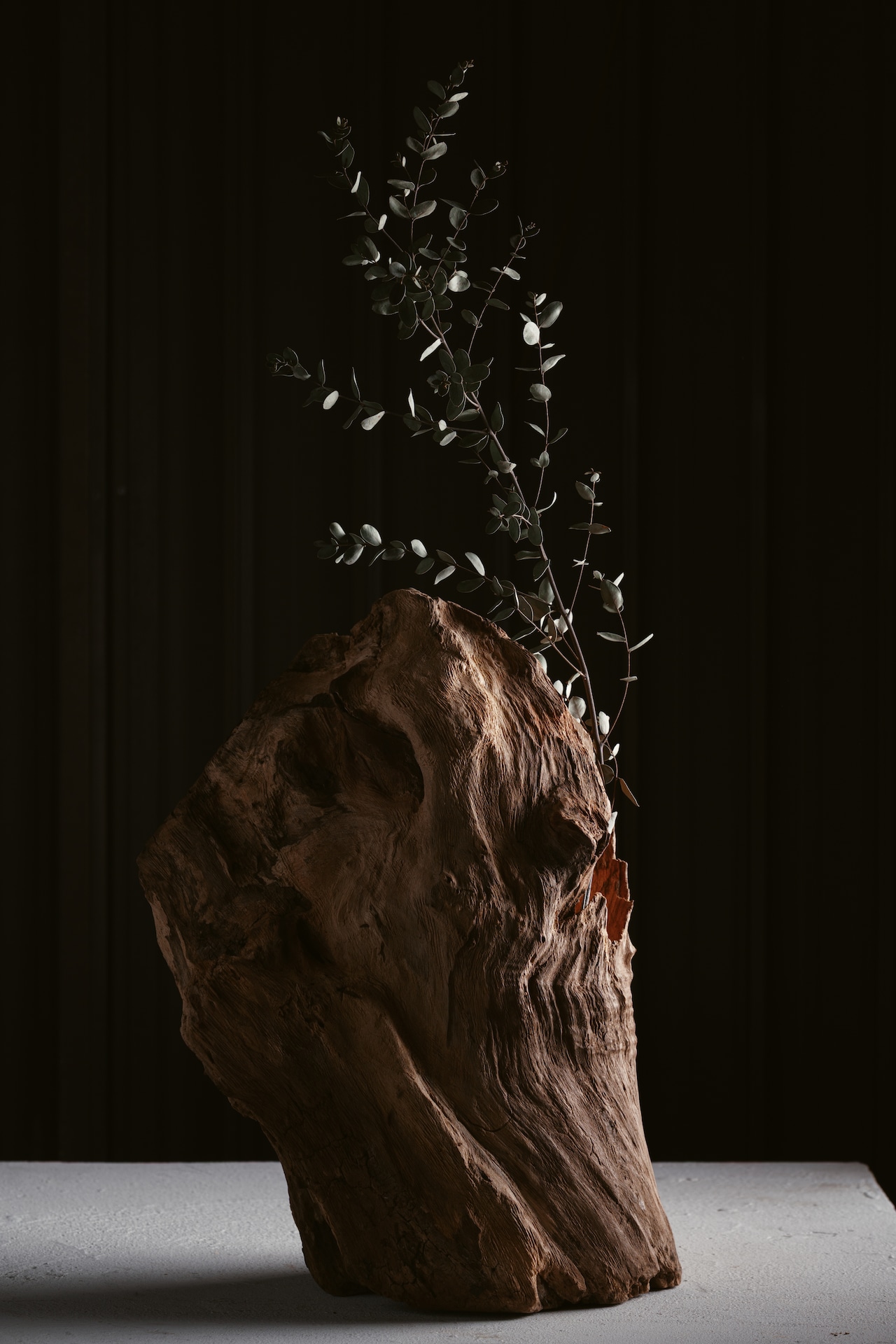 楠-kusunoki- Standing Form