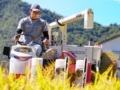 【精米定期便】凛々米 毎月5kg/全12回コース《一部送料無料》