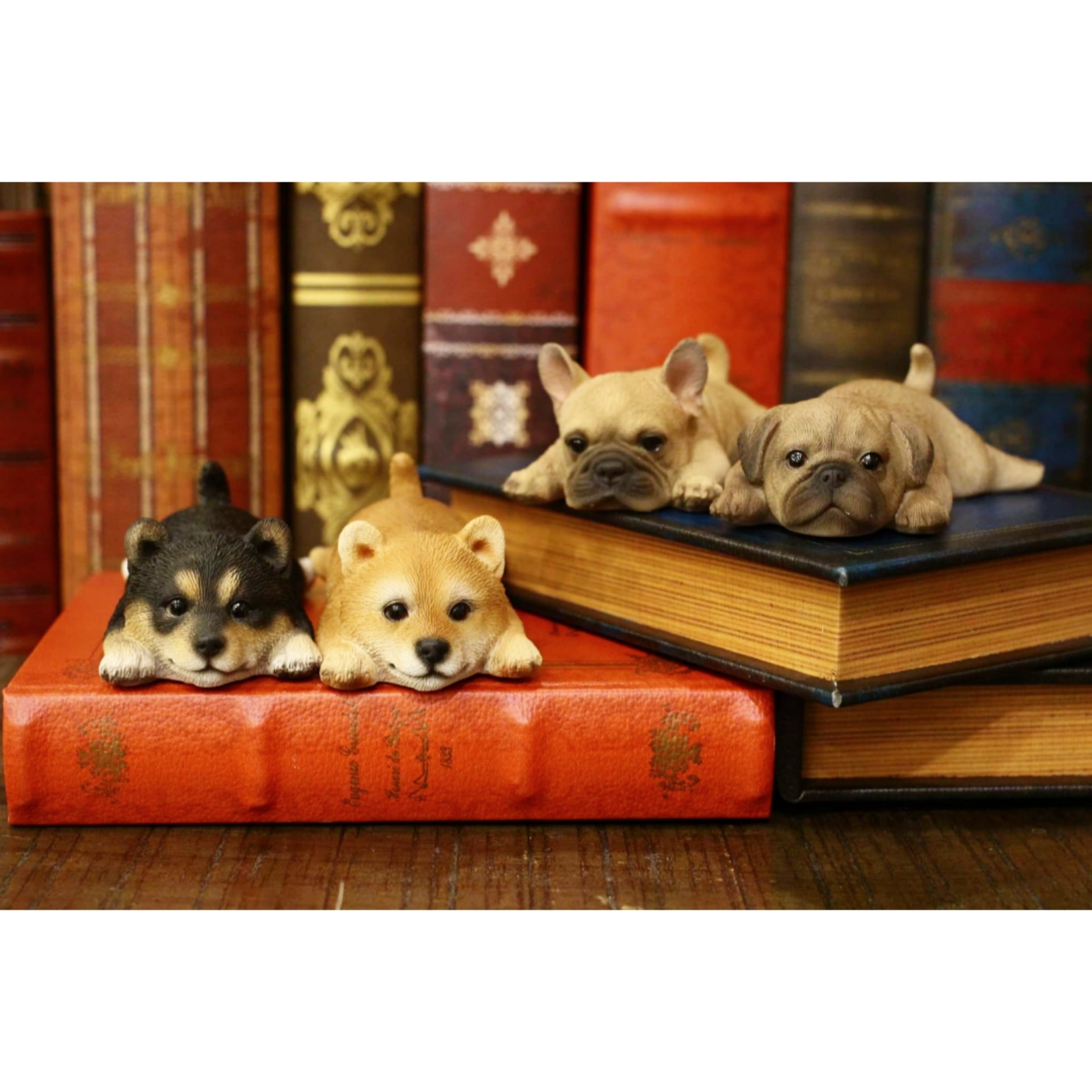 2a634cfedac8457cc9f09f58547ea0