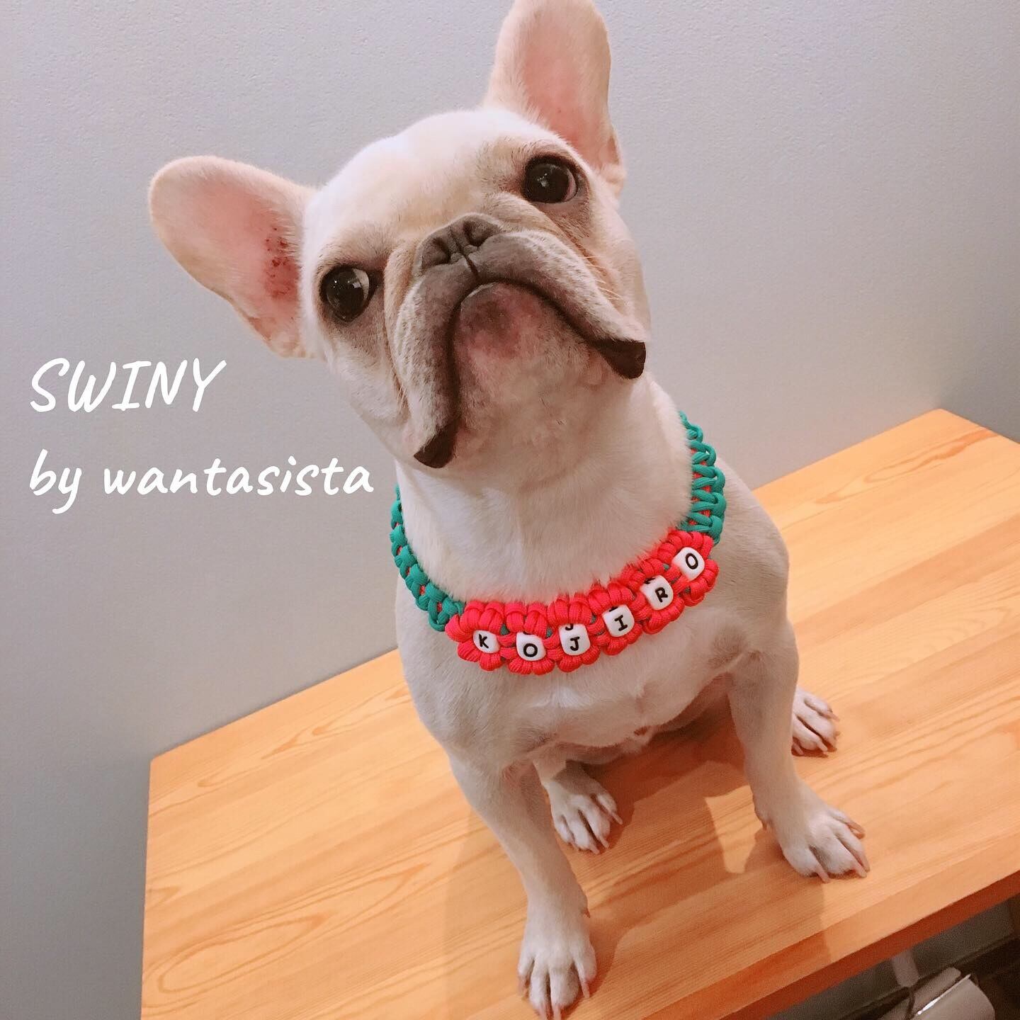 Susan Lanci キラキラドッグ カラー 首輪 2点セット 保存袋付