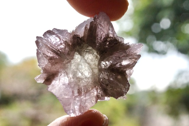 スターアラゴナイト Star Aragonite 5