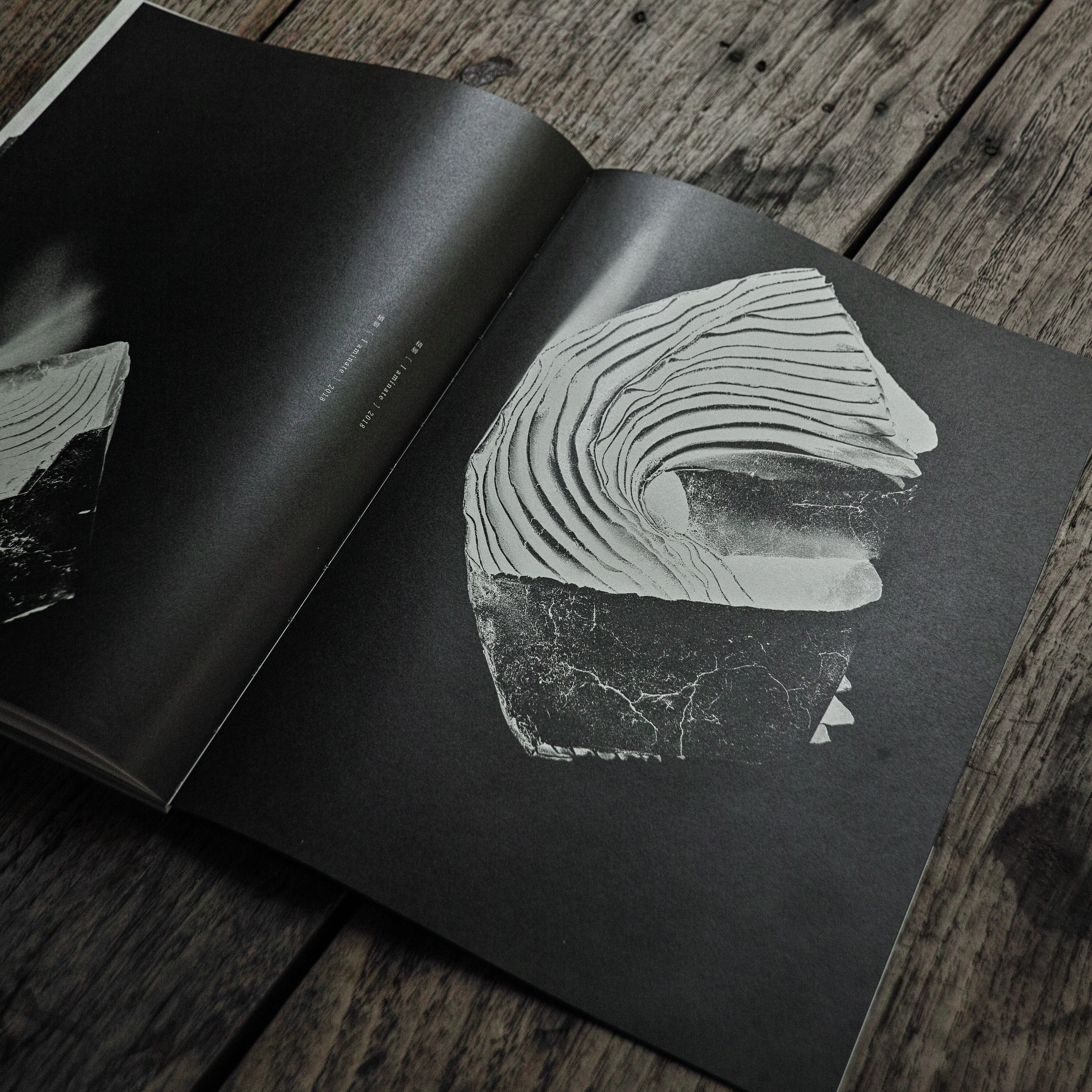 izumita yukiya 2010-2021 作品集 | いびつ