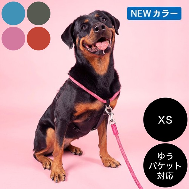 HIGH5DOGS（エイチファイブディ）Rope Walker Harness XS ゆうパケット対応