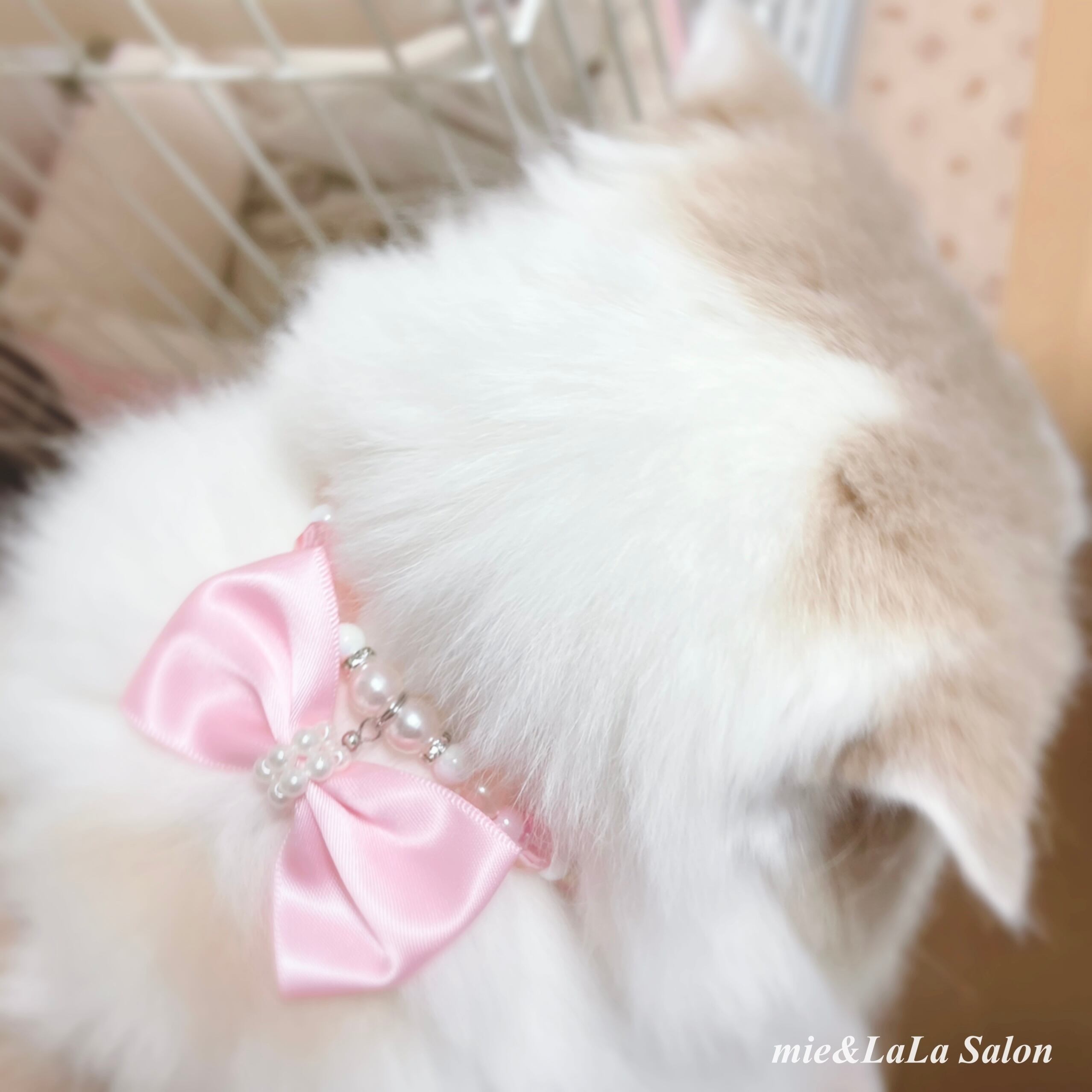ビッグリボンネックレス୨୧(バックリボン付き) 2way ペット用 犬 猫