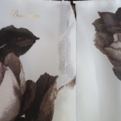 社交ダンス 衣装 スカート ホワイト系 チャコット Chacott レッスン 練習 白 透け感 チュール 日本製 バラ柄 花柄 植物柄 ラテン フリル リボン ふんわり 大人っぽい 上品 おしゃれ フレア 無地 シンプル ブラウン系 白 茶 練習着 エレガント スポーツウェア ダンスウェア 透ける素材 お洒落 かわいい ダンス用スカート レディース