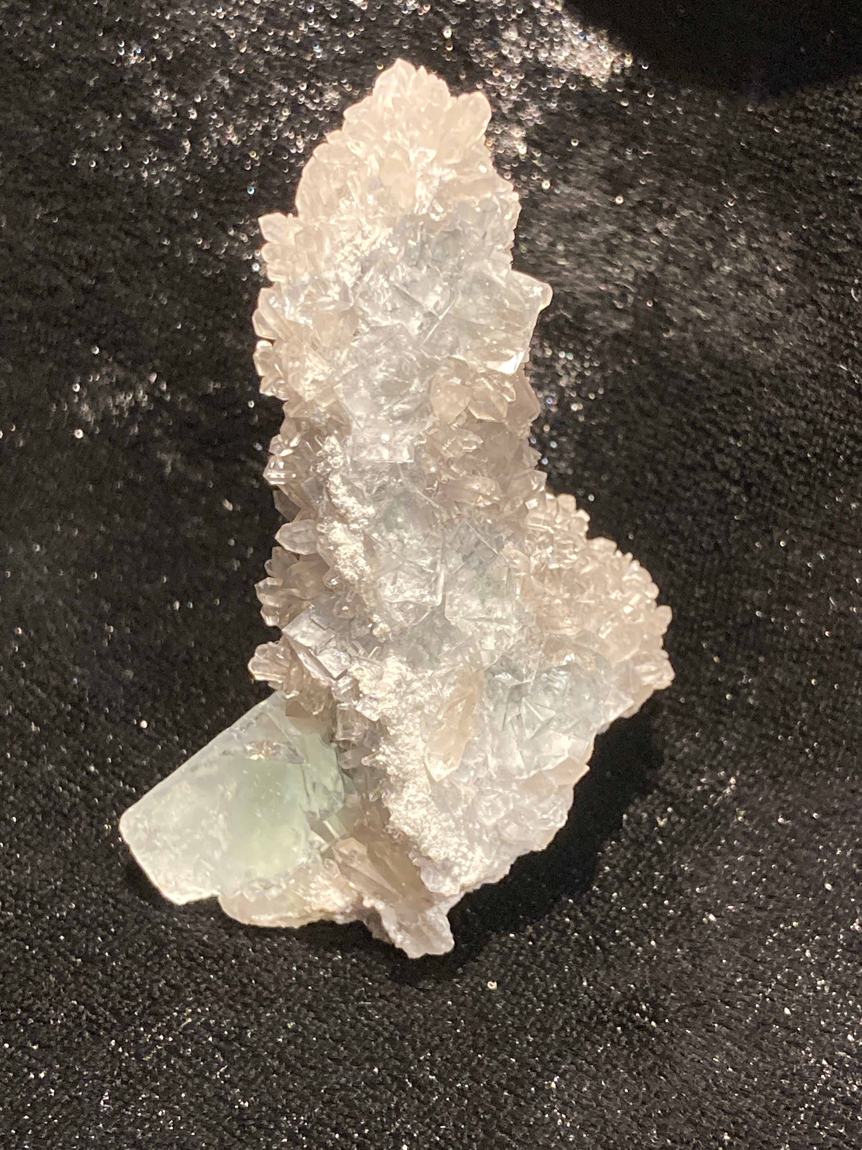 レインボー・シヴァ