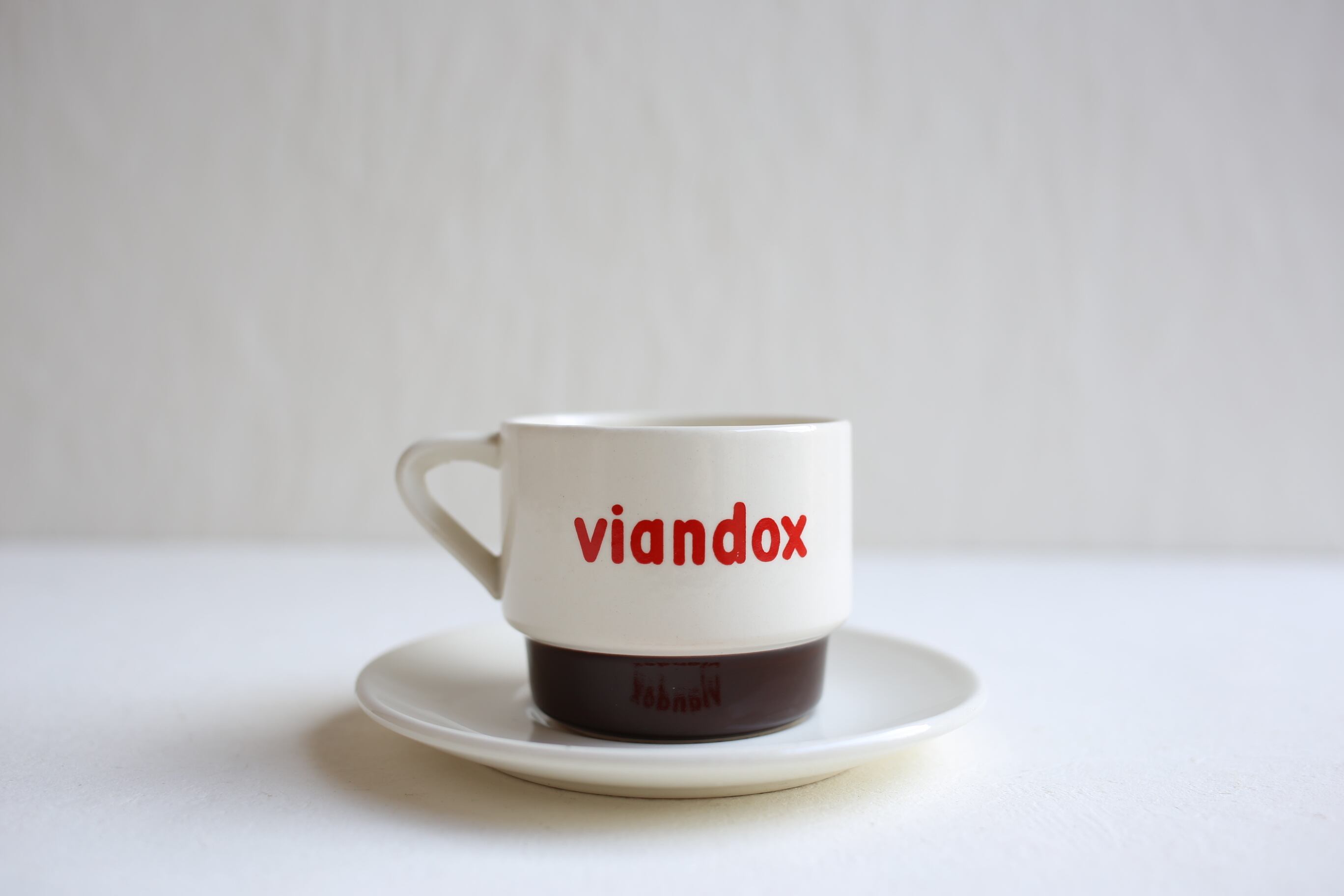 フランス アンティーク ヴィンテージ 『VIANDOX』 カップ＆ソーサー N