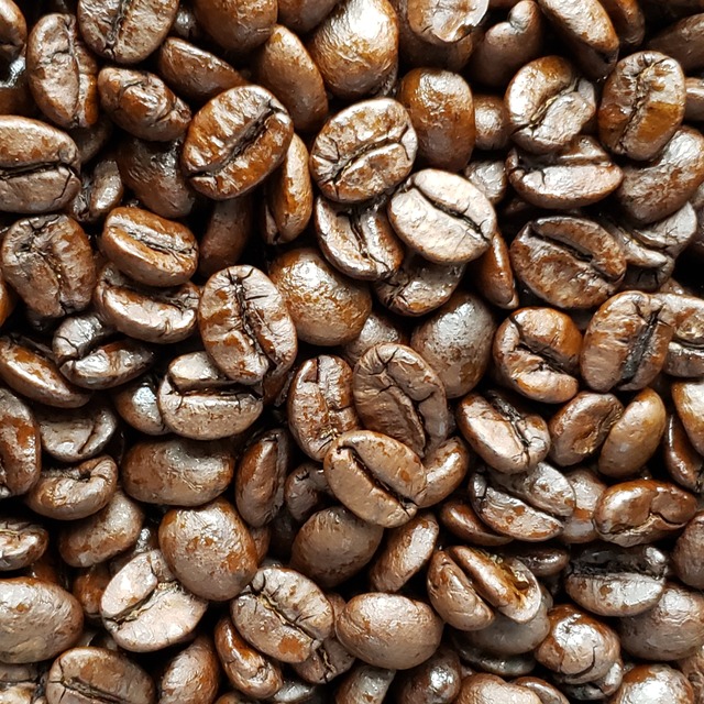 自家焙煎コーヒー豆「ブラジル　深煎り（クラシックモジアナ）」100g