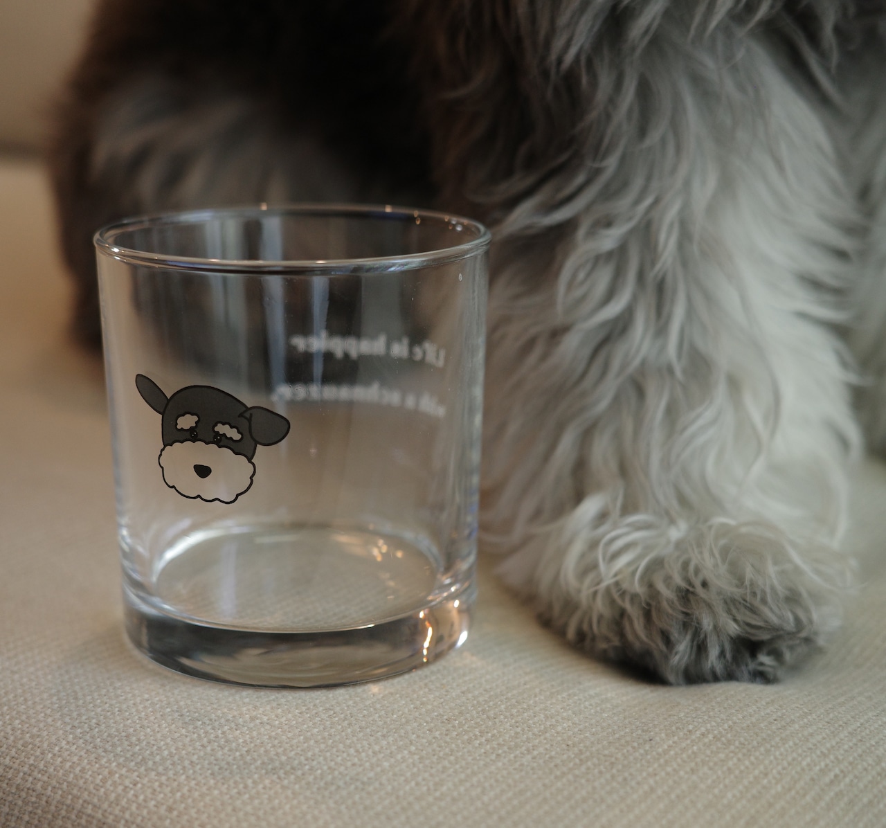 neko cafe glass2026