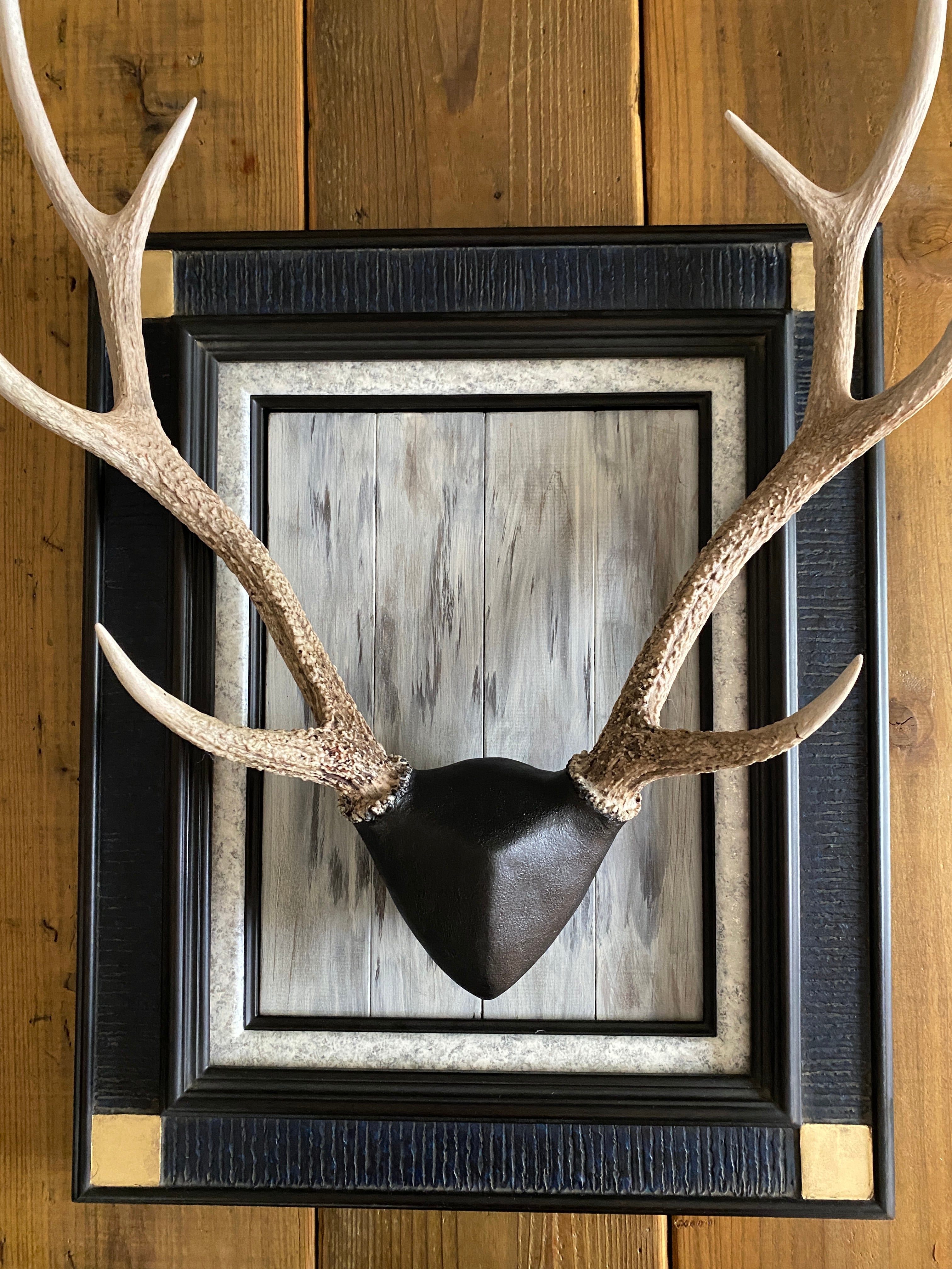 鹿の頭骨 置物 タイムセール）鹿の頭蓋骨/置物