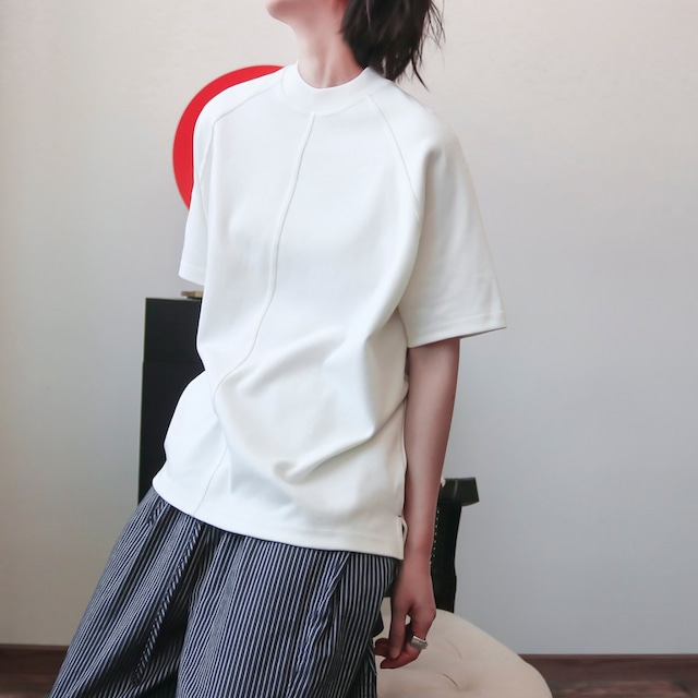 ラグランセンターラインTシャツ　A02239