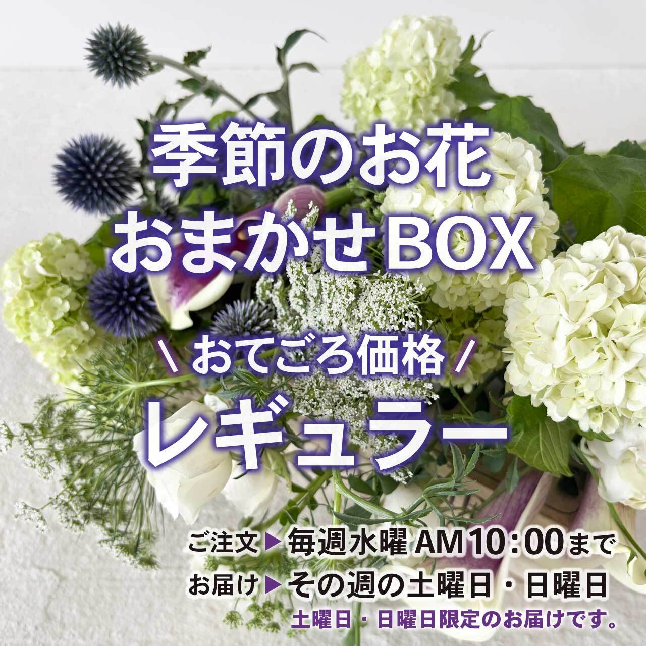 季節のお花★おまかせBOX★定期便《レギュラー》【旬のお花をお届け☆毎回のお楽しみ】フラワーロス削減
