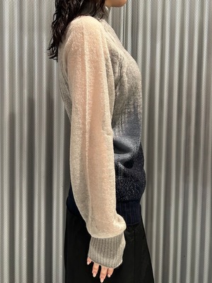 【26AW】Mame Kurogouchi マメ クロゴウチ / トップス / Sheer Jacquard High Neck Knit Top